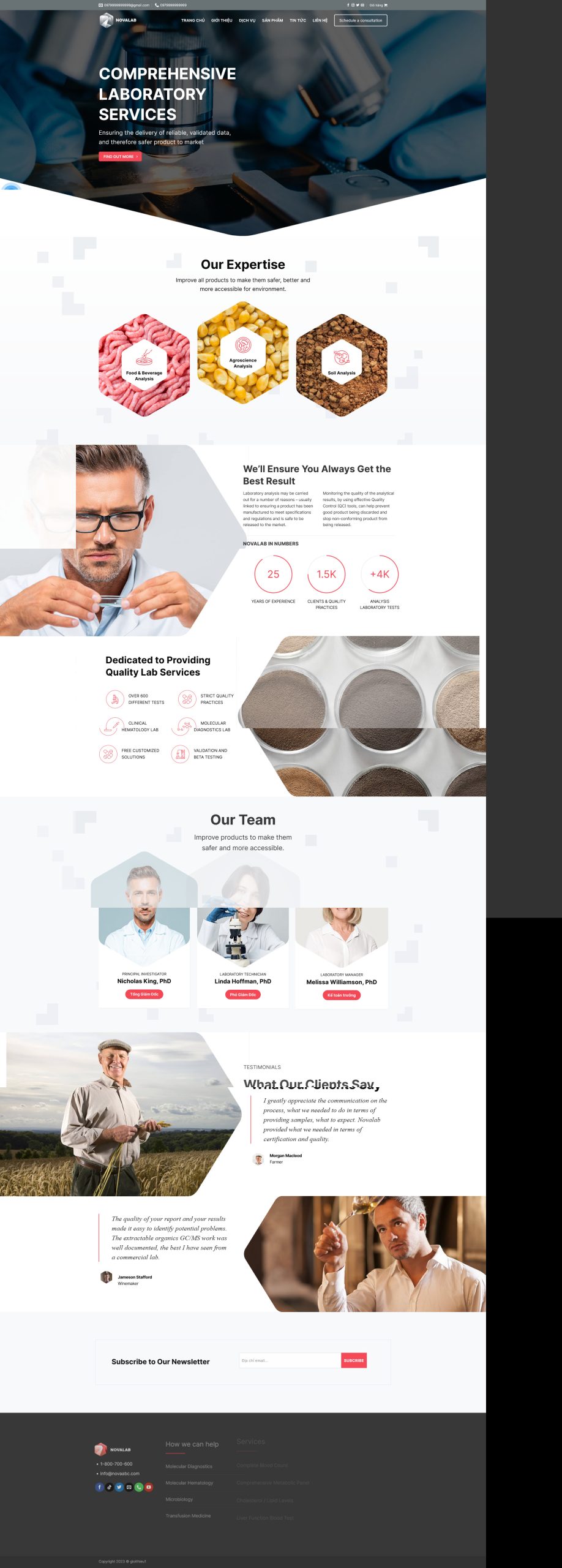 gioithieu1.mauthemewp.com