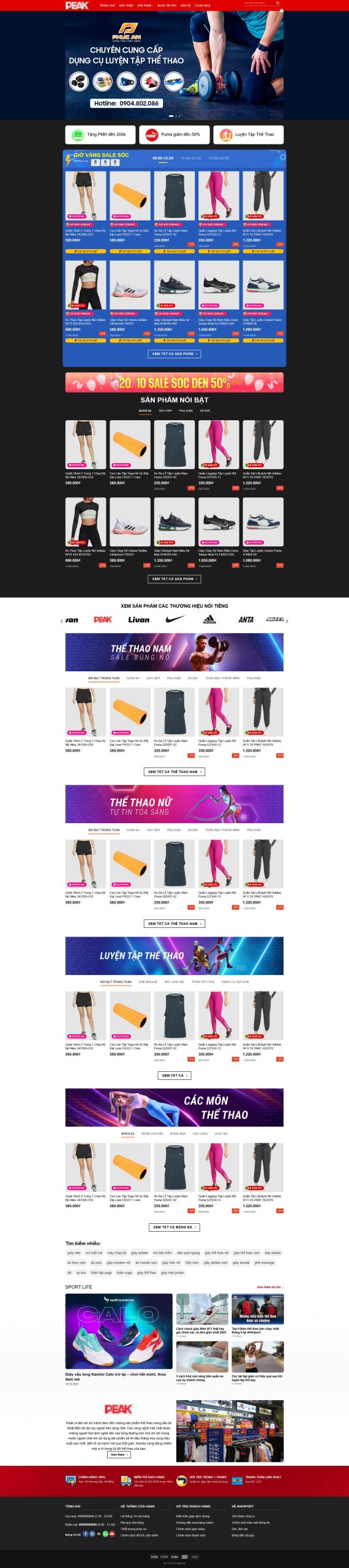 theme-wordpress-ban-giay