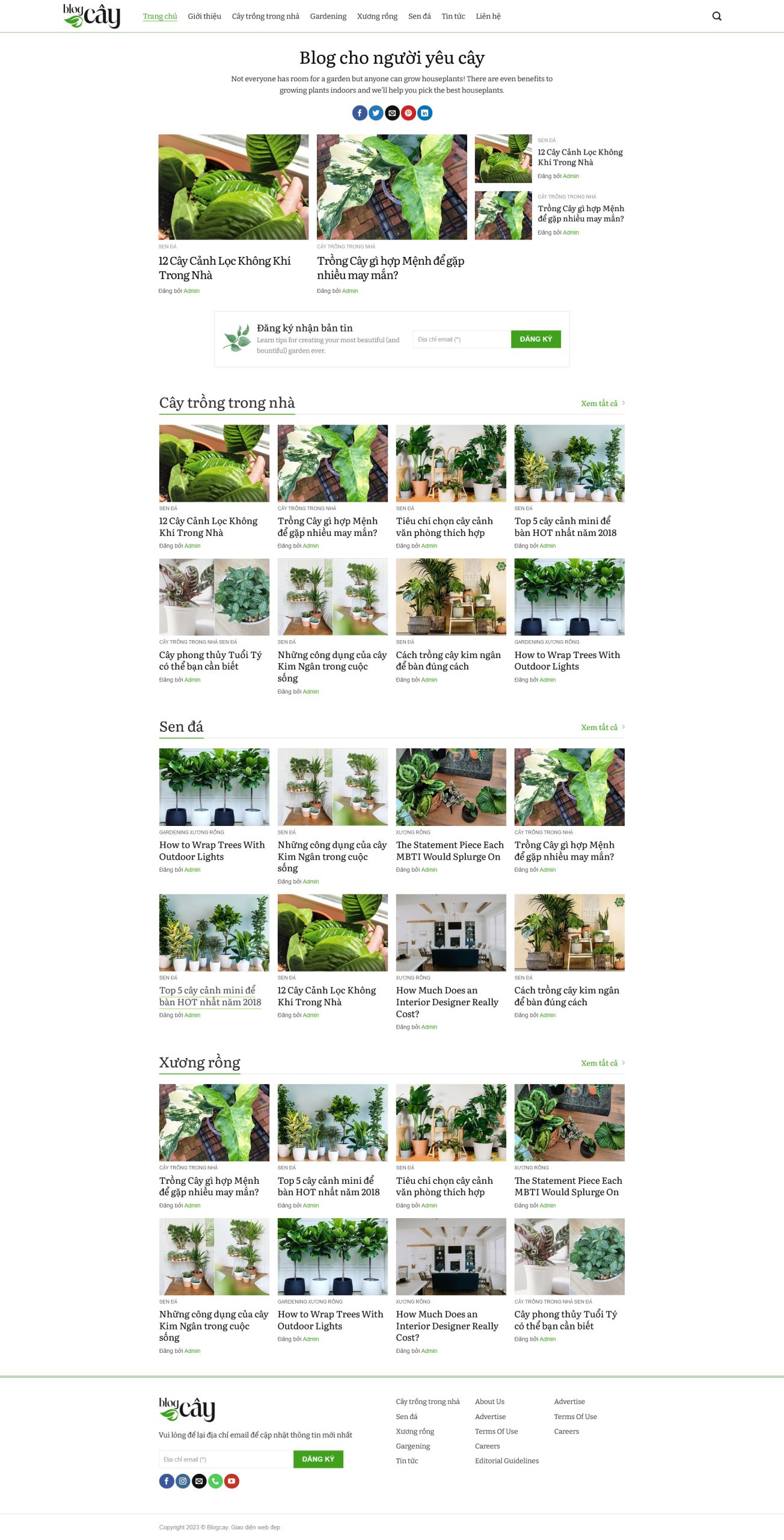 tintuc12.mauthemewp.com